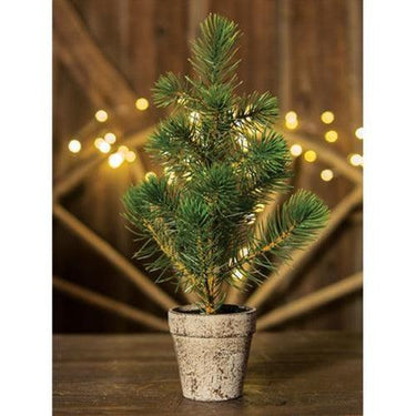 Potted Sierra Pine Tree - The Fox Decor